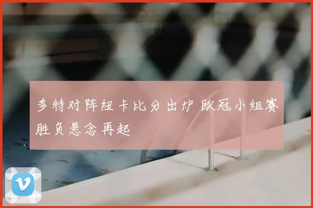多特对阵纽卡比分出炉 欧冠小组赛胜负悬念再起