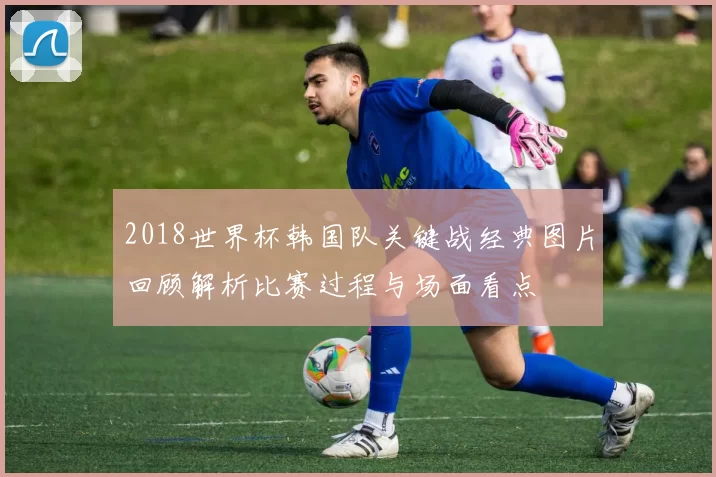 2018世界杯韩国队关键战经典图片回顾解析比赛过程与场面看点