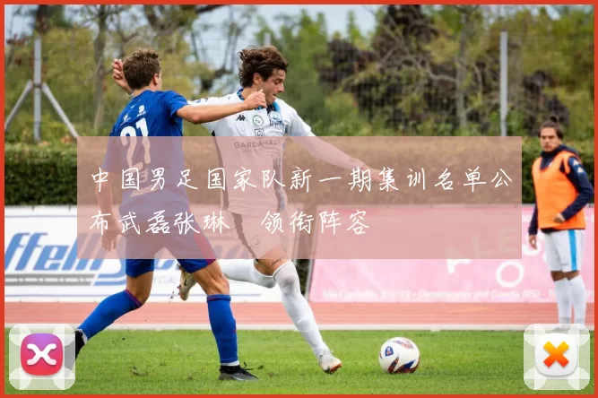 中国男足国家队新一期集训名单公布武磊张琳芃领衔阵容