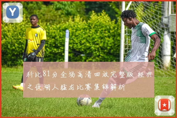 科比81分全场高清回放完整版 经典之夜湖人猛龙比赛集锦解析