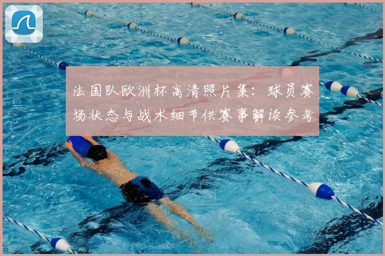 法国队欧洲杯高清照片集：球员赛场状态与战术细节供赛事解读参考