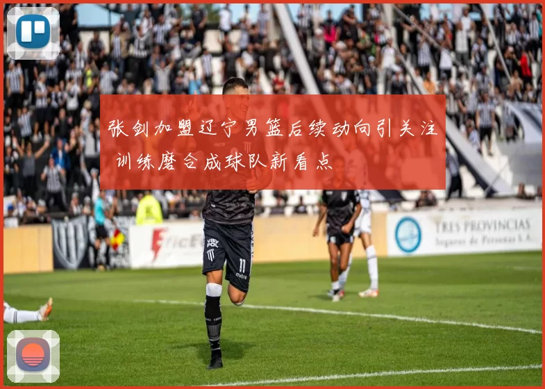 张剑加盟辽宁男篮后续动向引关注 训练磨合成球队新看点