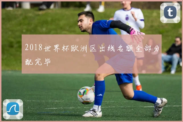 2018世界杯欧洲区出线名额全部分配完毕