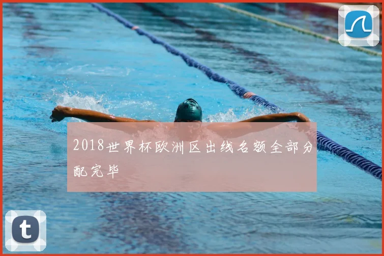 2018世界杯欧洲区出线名额全部分配完毕